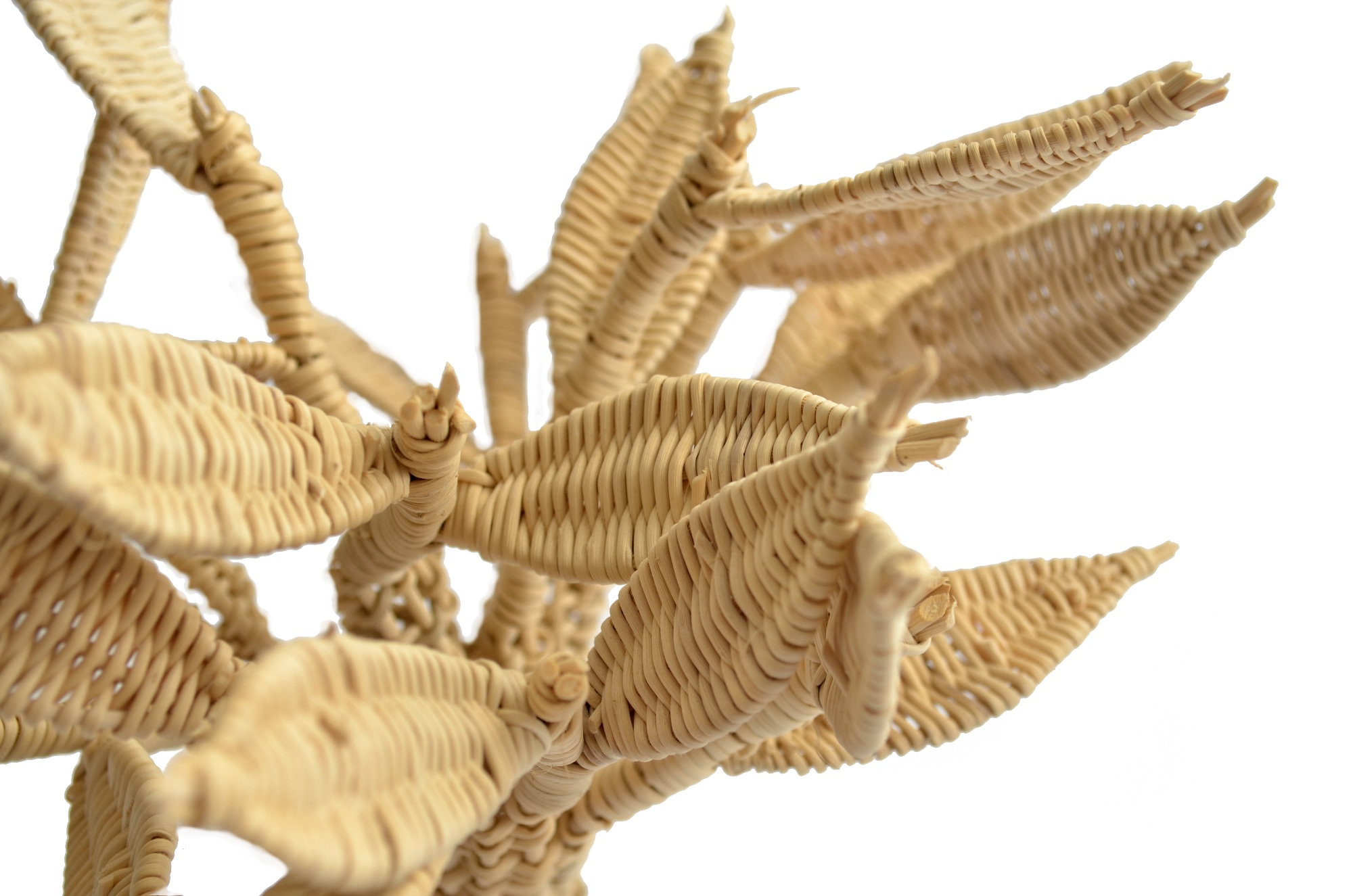  - esculturas-arbol-fibra-boqui-pilpil-selva-valdiviana.jpg