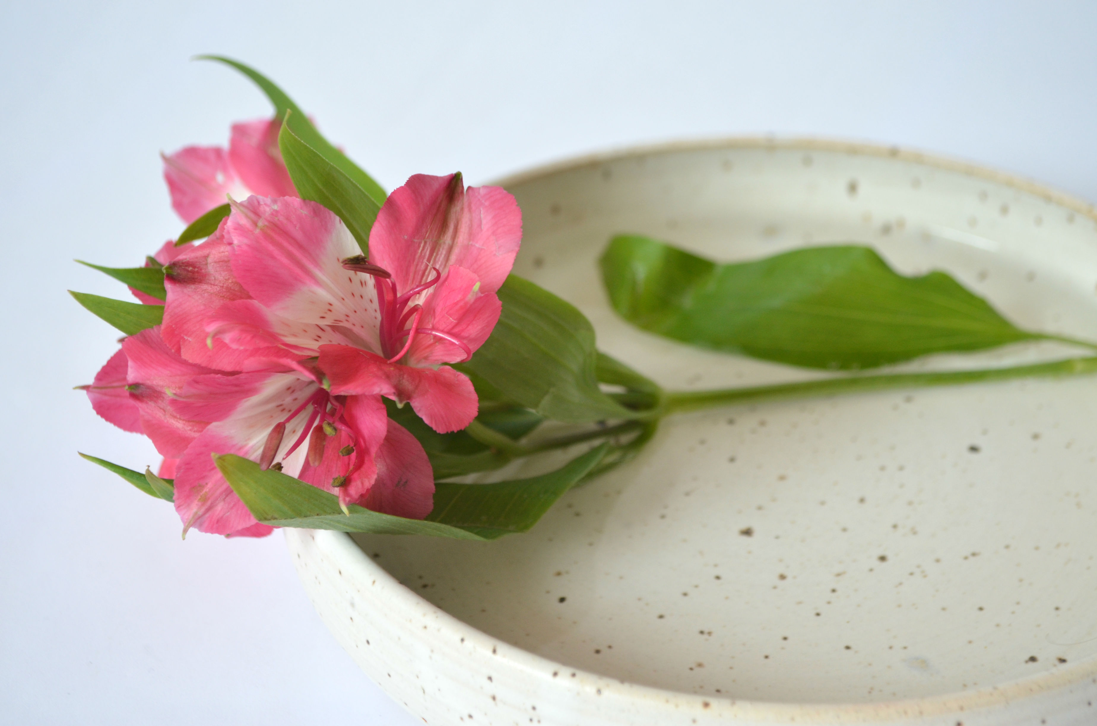  - ED-fuente-centro-de-mesa-ceramica-gres-manos-del-alma-6.jpg