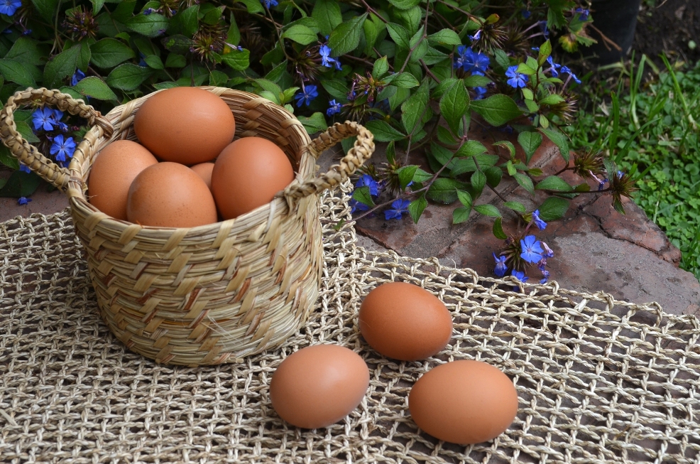  - manos-del-alma-canasto-cesta-huevos-regalos-matrimonio-chiloe-patagonia-artesania-chile - copia.JPG