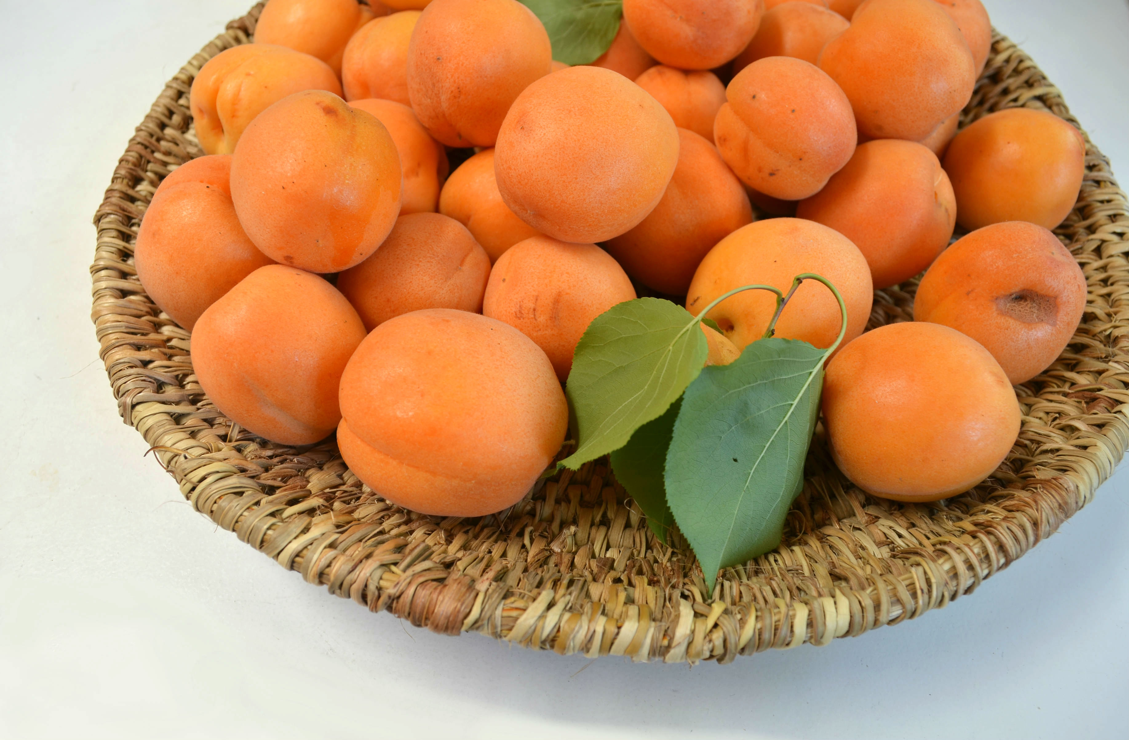  - balai-llepu-mapuche-canasto-cesto-cosecho-damascos-fruta-chile-artesania-sur-manos-del-alma.jpg