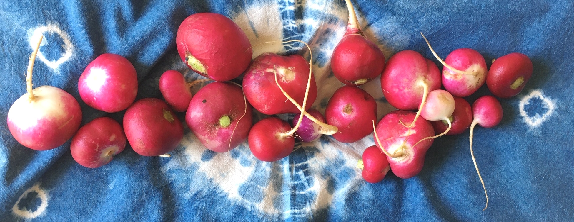  - IMG_2131 - copia.JPG