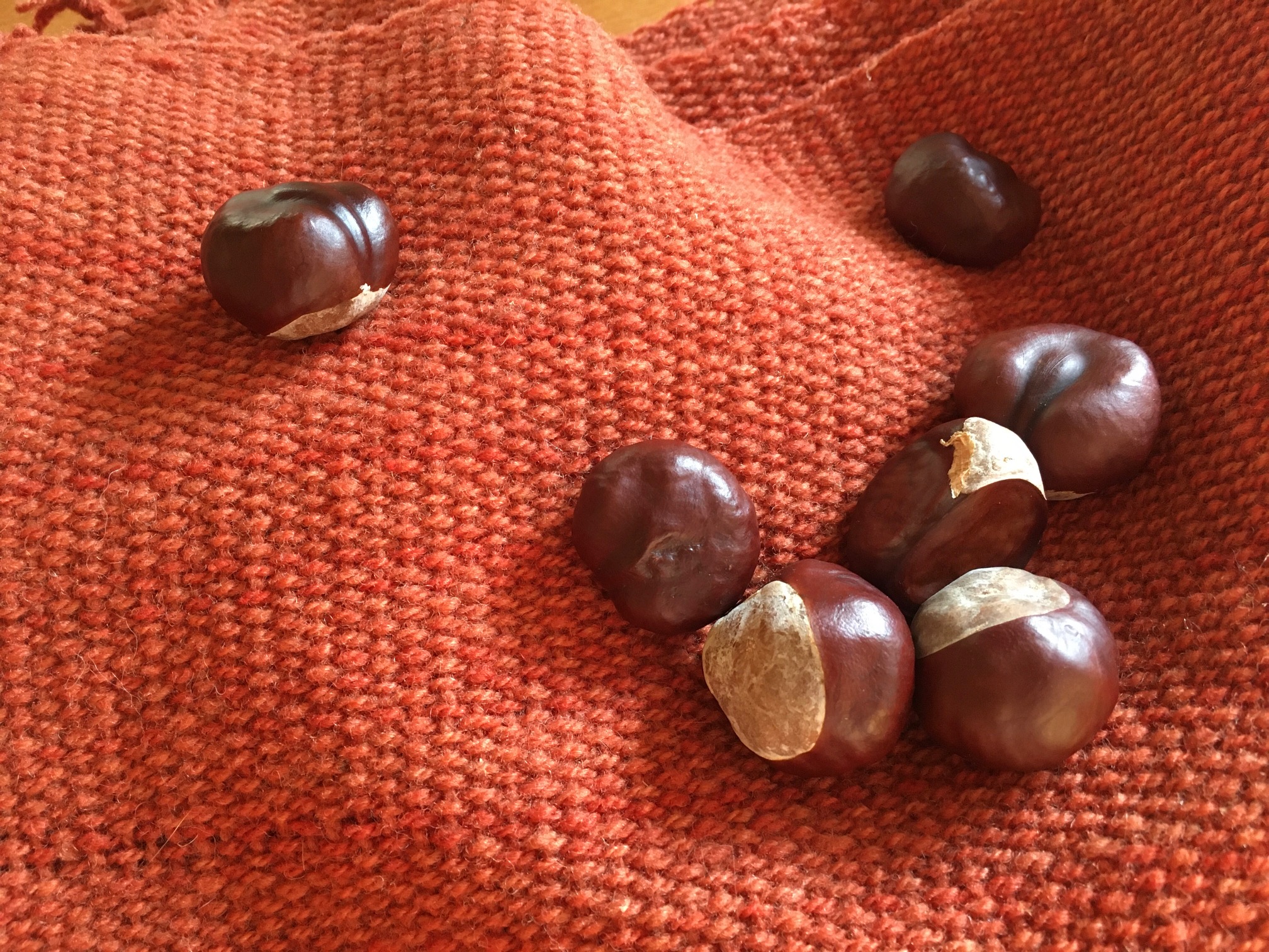  - 6.89-castaña-rosa-palta-coral-natural-oveja-chiloe-sur-magallanes-color-lana-telar-echarpe-chal-mapuche-textil-regalo-tintes-artesania-manos-del-alma-chile-telar,-.jpg