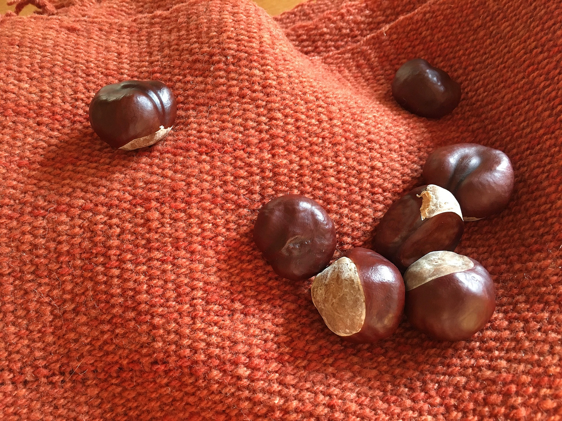  - 6.89-castaña-rosa-palta-coral-natural-oveja-chiloe-sur-magallanes-color-lana-telar-echarpe-chal-mapuche-textil-regalo-tintes-artesania-manos-del-alma-chile-telar,-.jpg