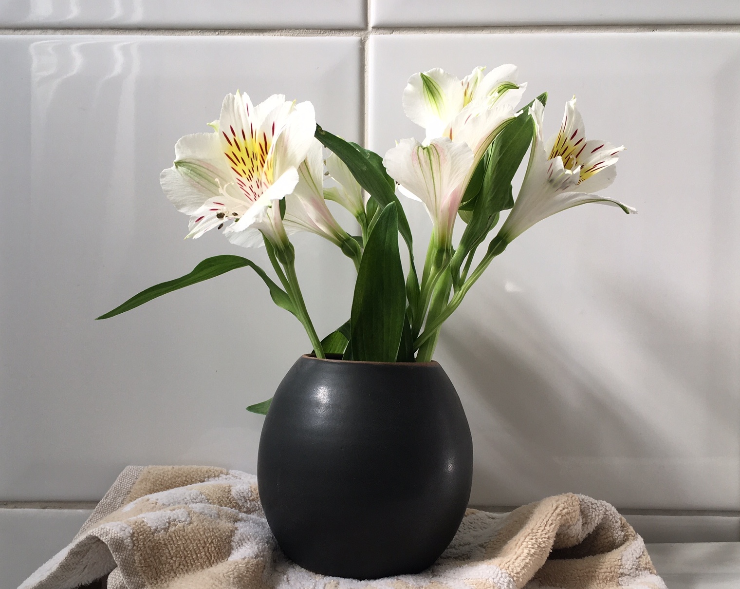  - IMG_3862 - copia.JPG