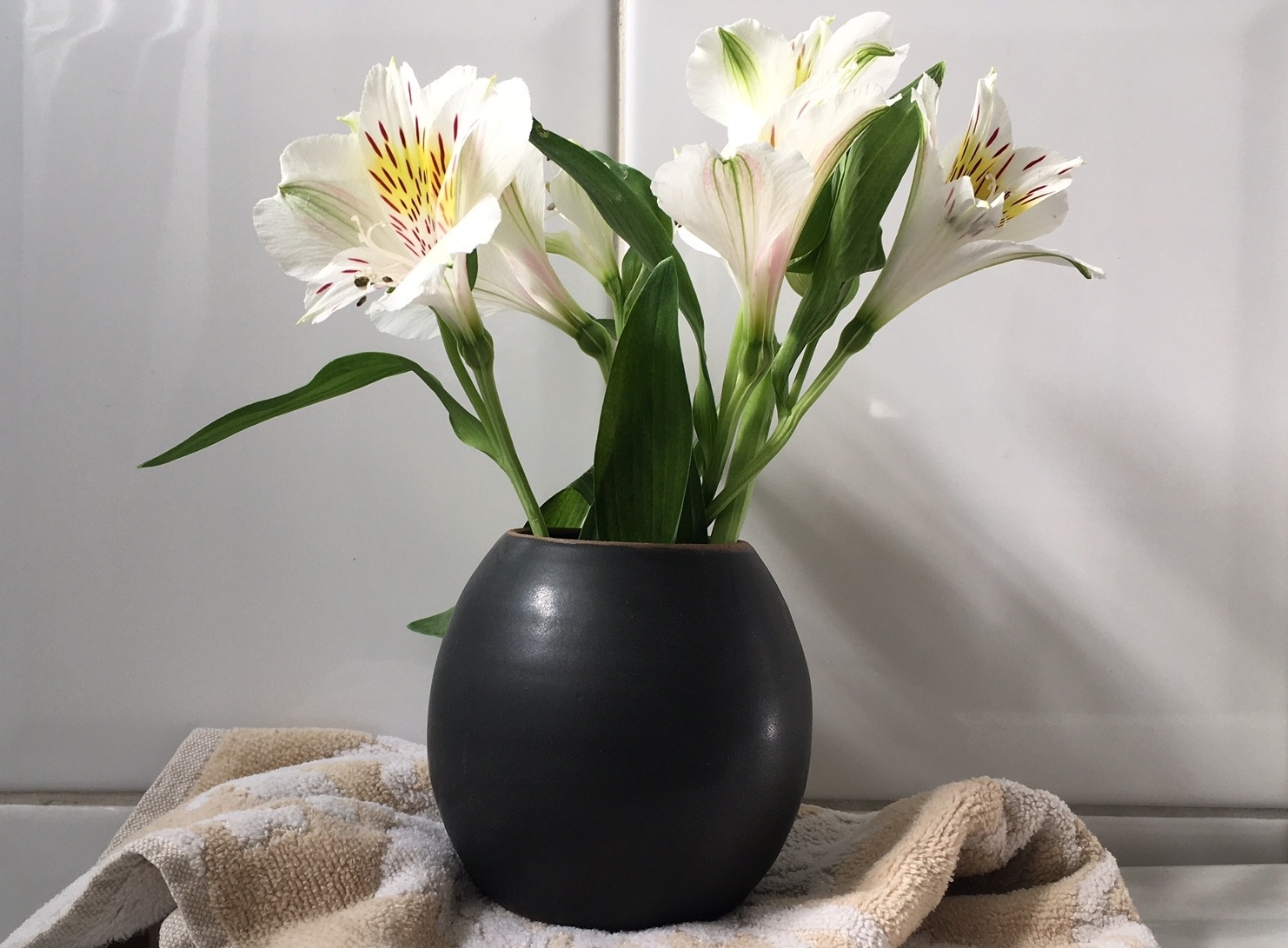  - IMG_3862 - copia.JPG