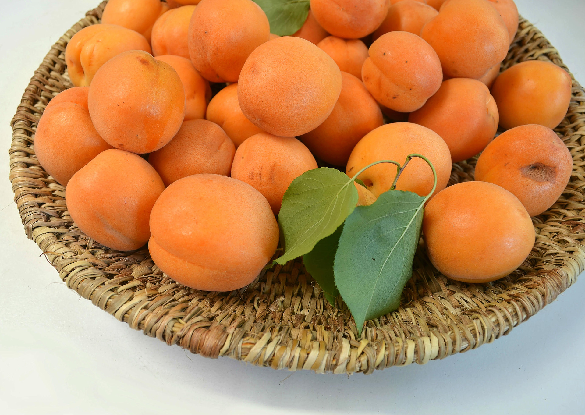  - balai-llepu-mapuche-canasto-cesto-cosecho-damascos-fruta-chile-artesania-sur-manos-del-alma.jpg