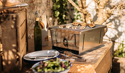 ProQ Flatdog Parrilla Portátil