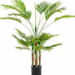 Palmera Areca artificial 160 cms - Areca_160cms.png