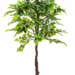 Ficus artificial 160 cms - Ficus_nuevo.png