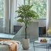 Ficus artificial 160 cms - Ficus_nuevo2.jpg