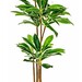 Dracena artificial - Dracena 195cms.jpg
