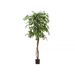 Ficus Benjamina artificial - Ficus180.jpg