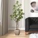 Pieris artificial 150 cms - Pieris_japonica.jpg