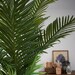 Palmera Kwai 180 cms - Hoja palmera2.jpg