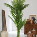 Palmera Kwai 180 cms - Palmera kwai.jpg