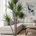 Dracena artificial - Dracena3.png.jpg