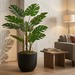 Filodendro Monstera artificial - Filodendro_180cms.png.jpg