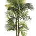 Palmera Areca artificial 150 cms - Palmera_nueva2.jpg