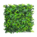 Hiedra  mix - A009_Hiedra_nueva.png