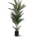 Palmera Areca con filtro UV - Palmera_UV.png