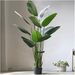 Bird of Paradise - Bird_grande.jpg