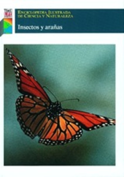  - ECN Insectos y Arañas.jpeg