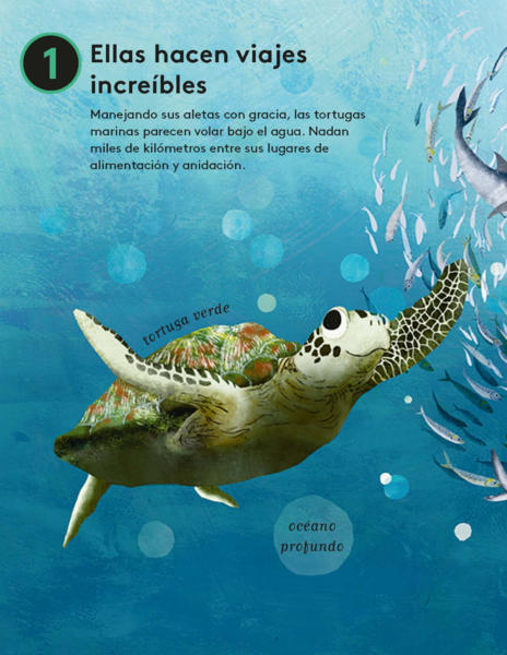  - 10 razones para amar a una tortuga marina_Página_03(1).png