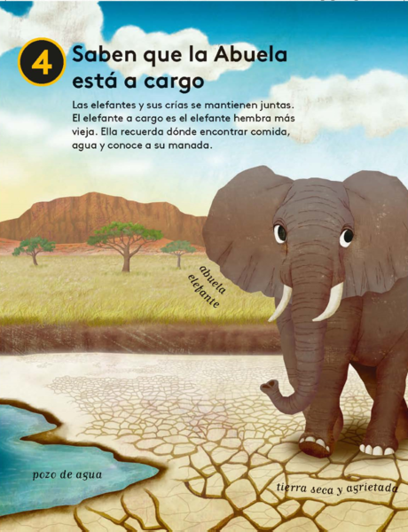  - 10 razones para amar a un elefante_Pg10(1).png