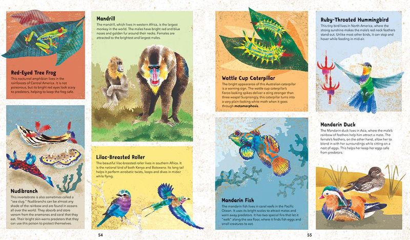 - incredible animals- interior 3.jpg