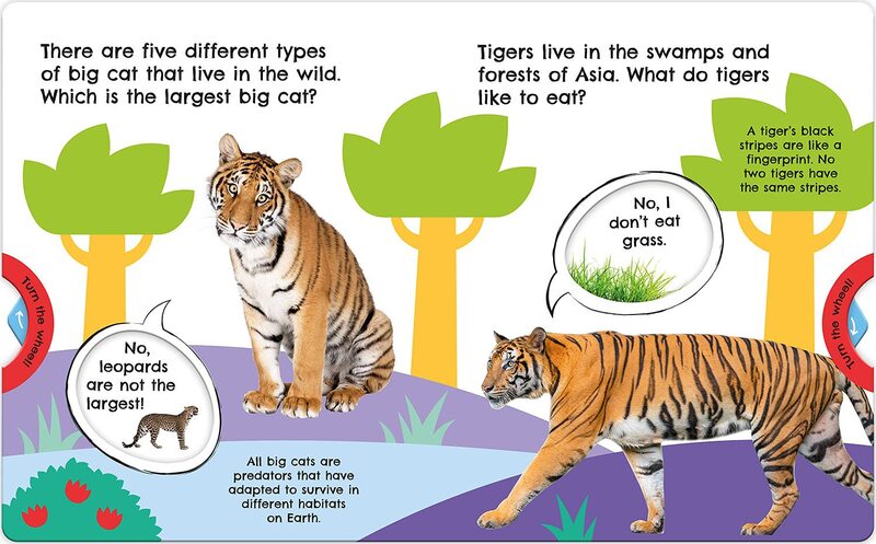  - First Facts Big Cats (Move Turn Learn2.jpg