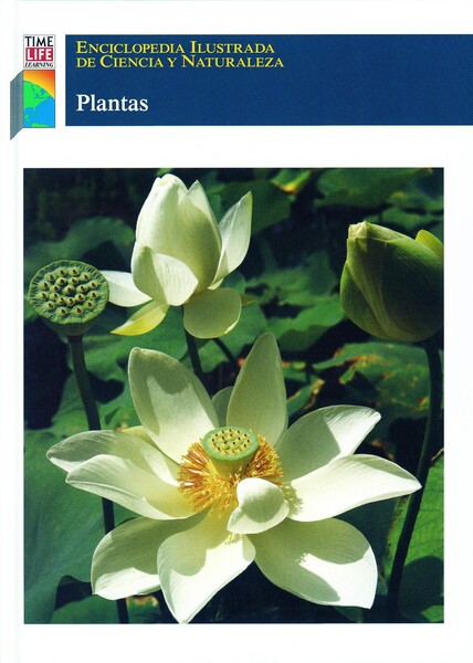  - Plantas_9789684182233.jpg