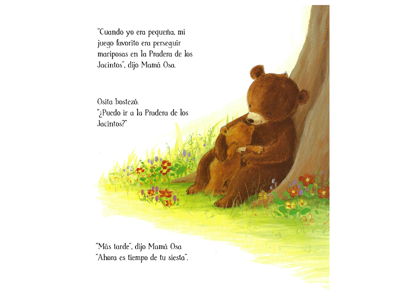  - Osita y las Mariposas - inside 2.png