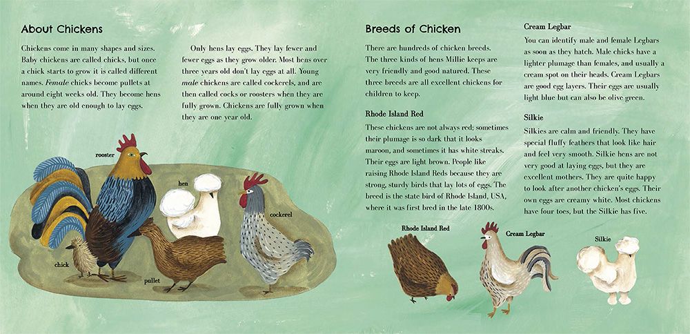  - millieschickens_hbpb_interior_pp34-35_rgb_1000px_72dpi.jpg