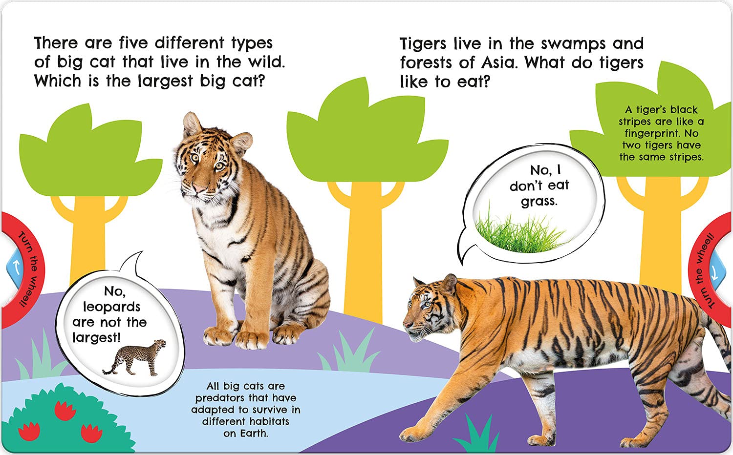  - First Facts Big Cats (Move Turn Learn2.jpg