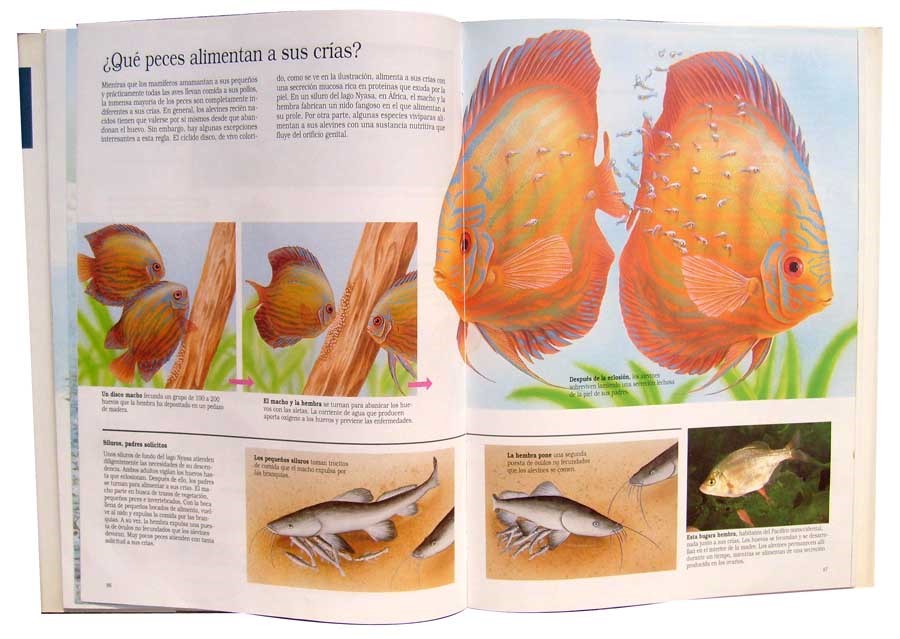  - Mundo Submarino_Pg abierta (1).jpg