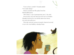  - Chandras Magic Light - inside 1.png