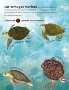  - 10 razones para amar a una tortuga marina_Página_01.png