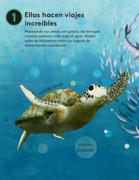 - 10 razones para amar a una tortuga marina_Página_03(1).png