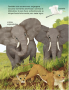  - 10 razones para amar a un elefante_Pg13(1).png