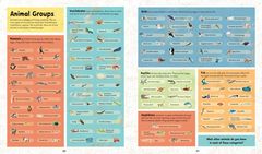  - incredible animals- interior 4.jpg