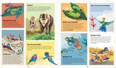  - incredible animals- interior 3.jpg