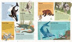  - incredible animals- interior 2.jpg
