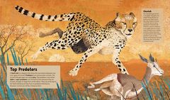  - incredible animals- interior 1.jpg