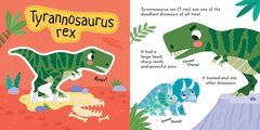  - Build and Play Dinosaurs (Build and Play Kit)4.jpg