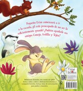  - El_gran-dia-de -pequeño -erizo-Contratapa.jpg