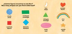  - firstfriends-shapes_bilspbb_interior_pp17-18_firebrand.jpg