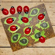  - ladybugs-counting-set-1.jpg