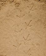  - YD1065-7.jpg