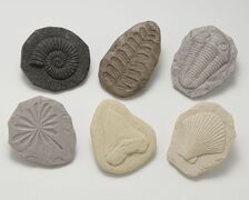  - YD1041-8.jpg