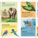 Barefoot Books Incredible Animals - incredible animals- interior 3.jpg